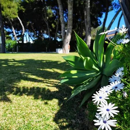 Appartement ¡Nuevo! Zona Tranquila Cerca De La Playa De La Carihuela à Torremolinos Extérieur photo